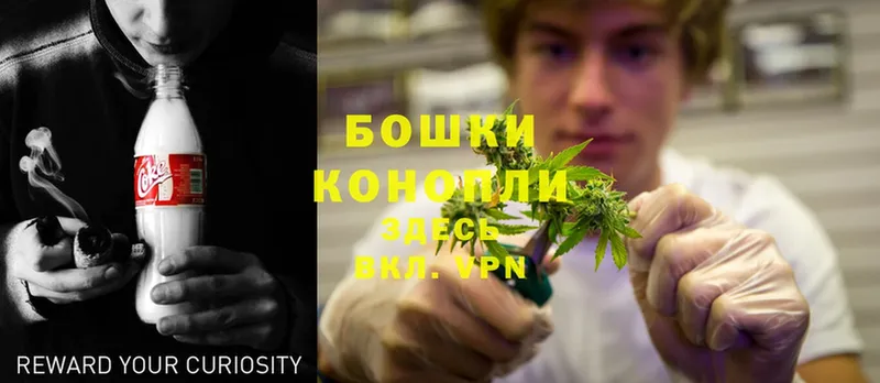 Шишки марихуана OG Kush  купить наркоту  Тетюши 